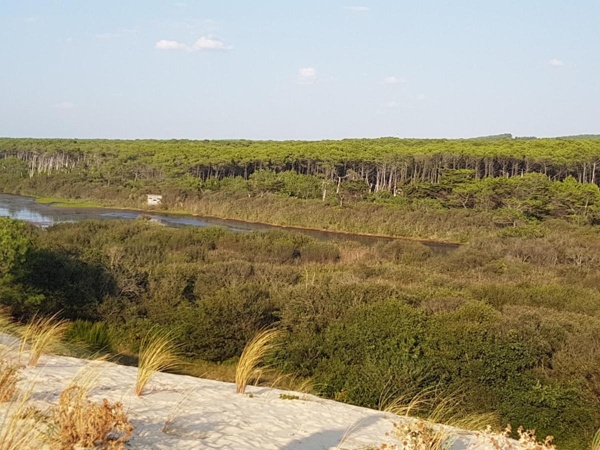 Aureilhan  T2, 50M Du Lac, Piscine, Wifi, Jardin Terrasse Sans Vis-A-Vis, 1 A 4 Pers מראה חיצוני תמונה